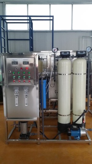 小型糖心APP官网入口-0.5吨单级糖心APP官网入口